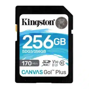 Kingston Technology Canvas Go! Plus 256 GB SD UHS-I Klasse 10 - 0