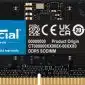 Crucial CT16G48C40S5 geheugenmodule 16 GB 1 x 16 GB DDR5 4800 MHz - 0